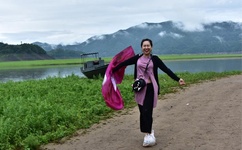 YELLOW视频直播在线观看